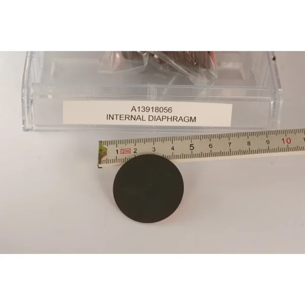 INTERNAL DIAPHRAGM